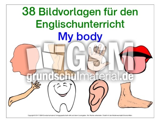 My-Body-Bild-Wort-Karten.pdf